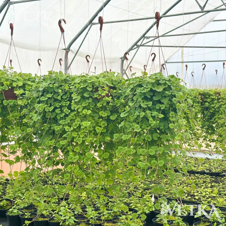 Дизайн без названия - 2026-04-05T181246.643